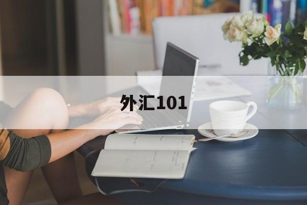 外汇101(外汇101交易系统)